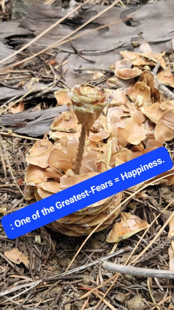 One of the biggest fears is happiness
